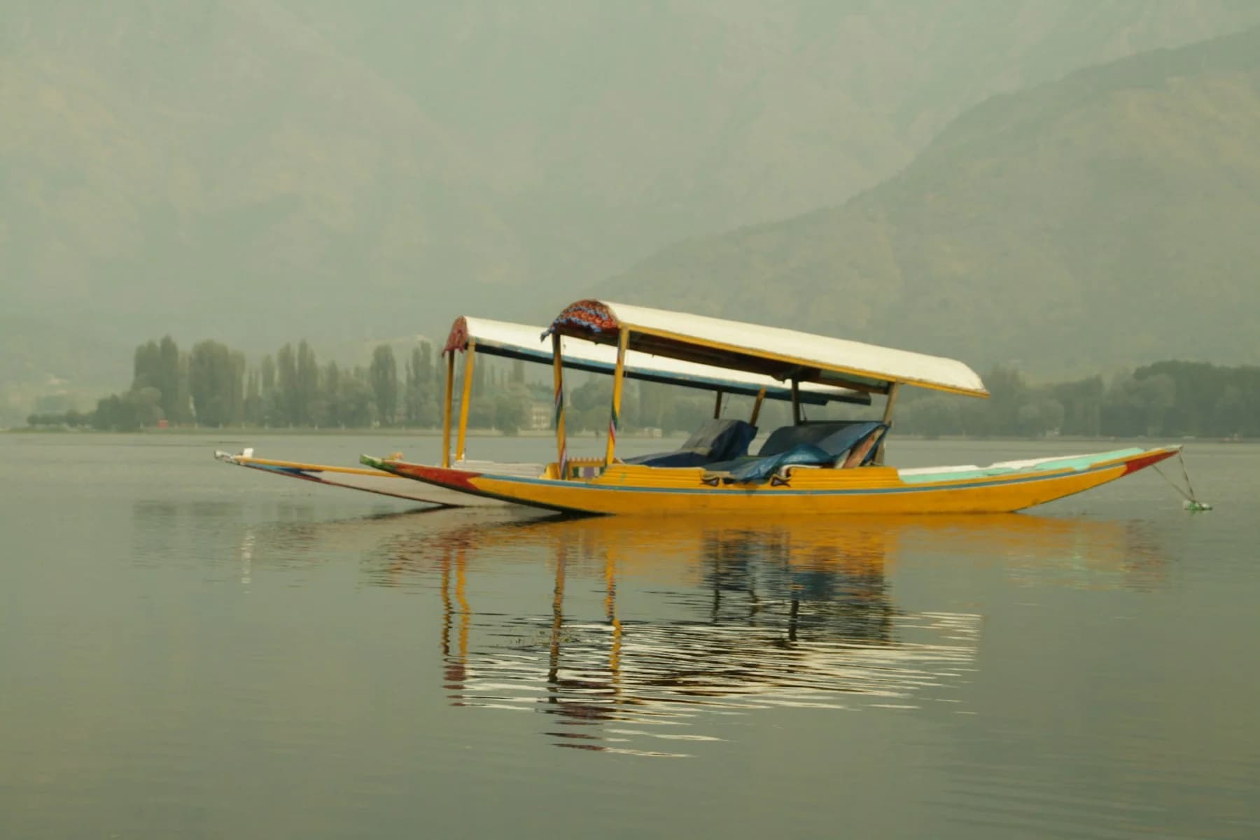 Kashmir